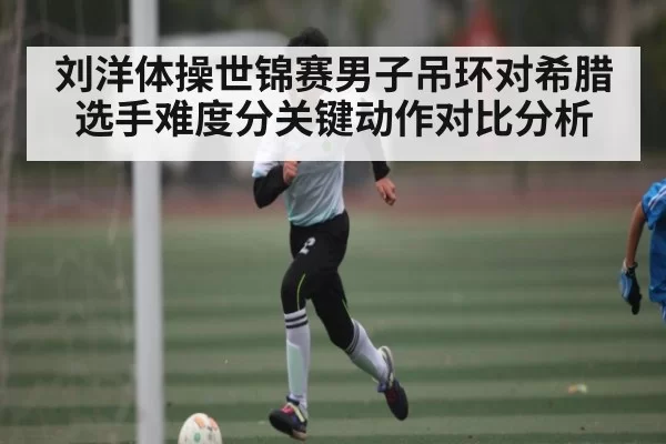 刘洋体操世锦赛男子吊环对希腊选手难度分关键动作对比分析